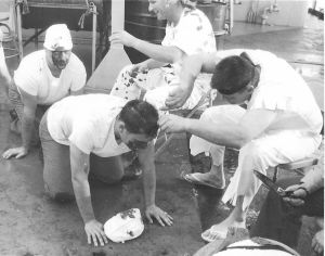 Shellback Initiation